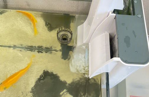 鱼缸过滤器的介绍,你们了解多少?