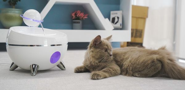 小猫饮水机