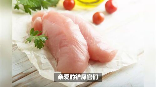 宠物饮食误区解析