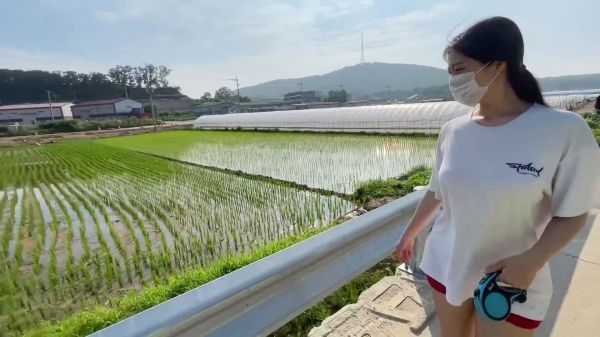 姐姐回乡下生活,遛狗狗带你看韩国农村生活,韩国乡村实拍