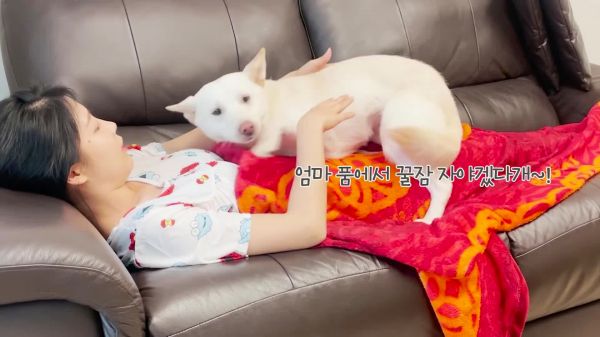 姐姐在沙发上睡觉,睡的挺好,家庭里宝贝狗狗也要睡,把它当枕头