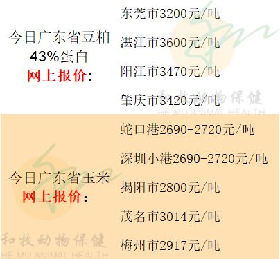 2021年7月29日猪价