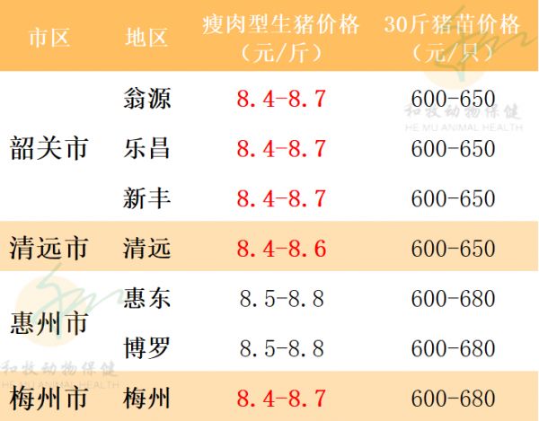 2021年7月29日猪价