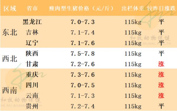 2021年7月29日猪价