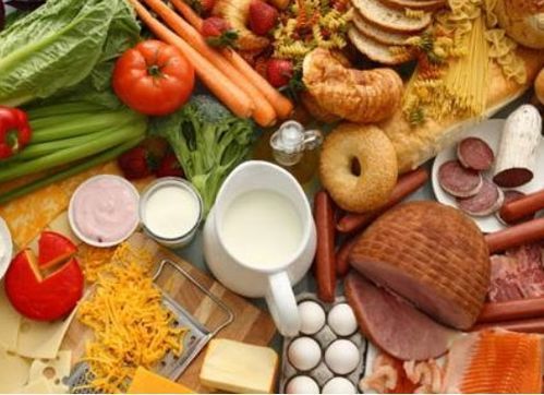 “小狗饮食宜均衡,肉蛋蔬菜搭配佳。”