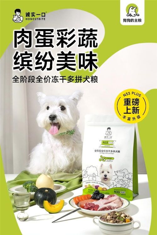 科学搭配:蔬菜+狗粮,误区:过量蔬菜、单一营养