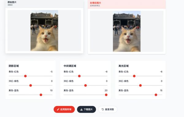 爆火AI萌宠短视频教程,用AI生成猫咪旅游短视频玩法全拆解