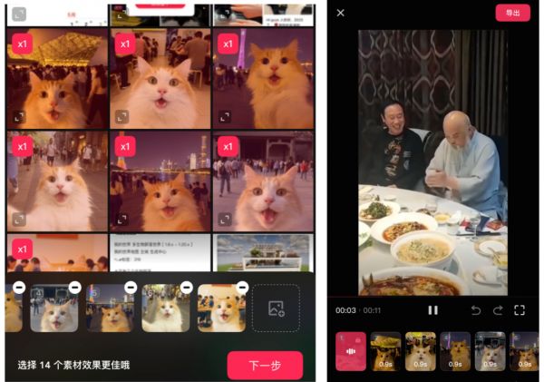 爆火AI萌宠短视频教程,用AI生成猫咪旅游短视频玩法全拆解