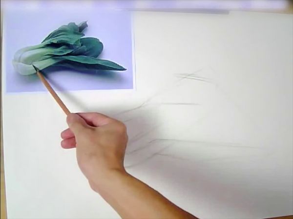 素描教程视频,画素描的基础教程,初学素描入门视频教程