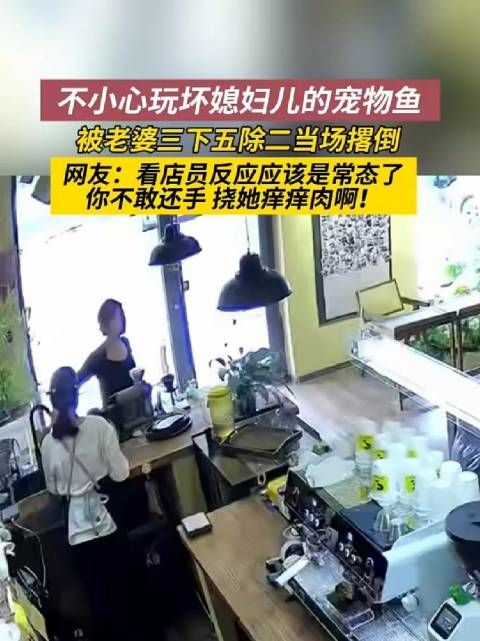 河北男子误伤妻子宠物鱼被当场制服