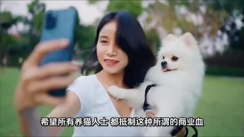 博主揭秘动物血库,灰色而又残忍的行业……最坏是人心啊