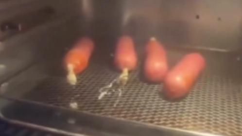 笑容瞬间变野性!你也能成为小野猫的秘密