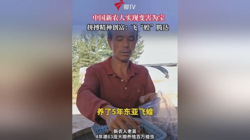 中国新农人实现变害为宝拼搏精神创富:飞“蝗”腾达
