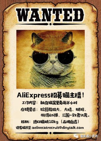 速卖通宠物用品销售额同比上涨超70%!速卖通“高薪”招募“猫主播”来直播带货