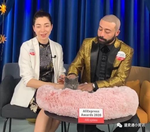 速卖通宠物用品销售额同比上涨超70%!速卖通“高薪”招募“猫主播”来直播带货