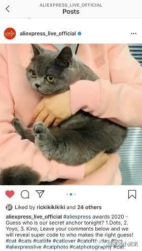 速卖通宠物用品销售额同比上涨超70%!速卖通“高薪”招募“猫主播”来直播带货