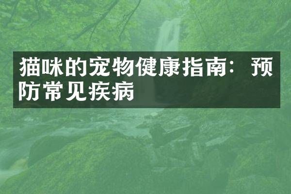 猫咪的宠物健康指南:预防常见疾病