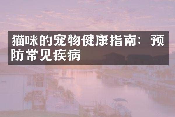 猫咪的宠物健康指南:预防常见疾病