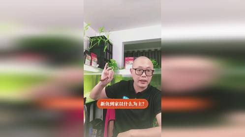 新鱼到家以什么为主？