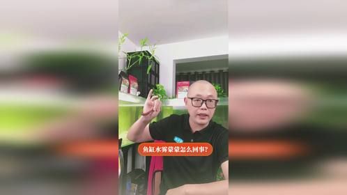 鱼缸水雾蒙蒙怎么回事？