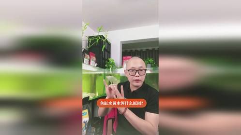鱼缸水黄水浑什么原因？