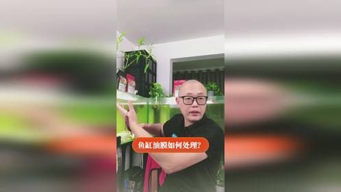 鱼缸油膜如何处理？