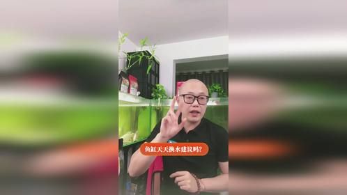鱼缸天天换水建议吗？