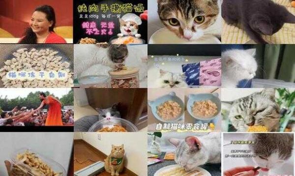 十种简单的自制猫咪零食