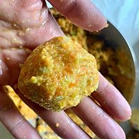 自制狗狗素食狗粮的做法图解7