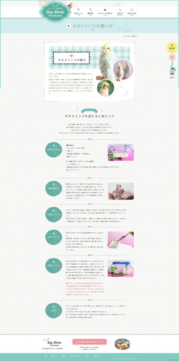 ---酷站截图编号52049