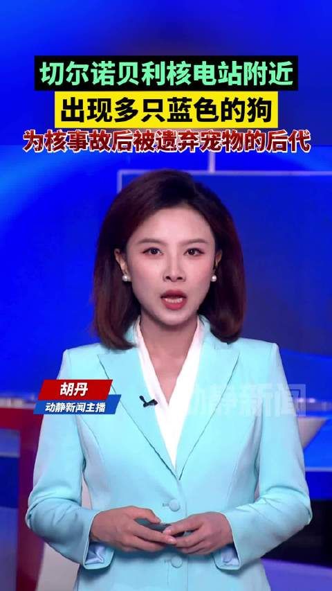 切尔诺贝利核电站附近，出现多只蓝色的狗为核事故后被遗弃宠物的后代