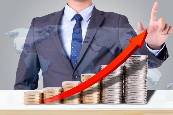 打造温馨宠物空间的装修设计方案 图1