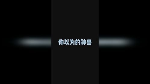 这是一条养猫劝退视频