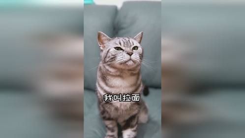 求人竟然是个技术活?