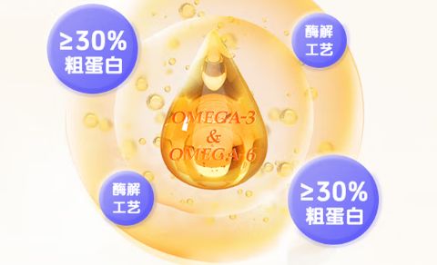 美滋元奶糕猫粮：离乳幼猫的黄金营养补给站