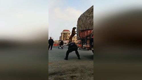 失败没有什么的，只是更走近成功一步