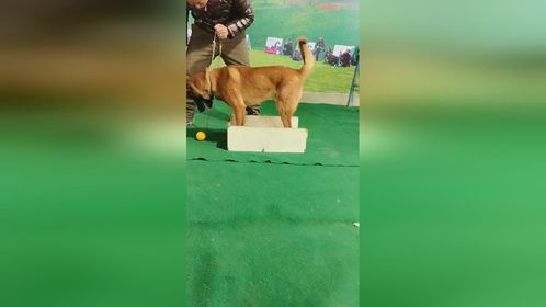 魔王日常训练！