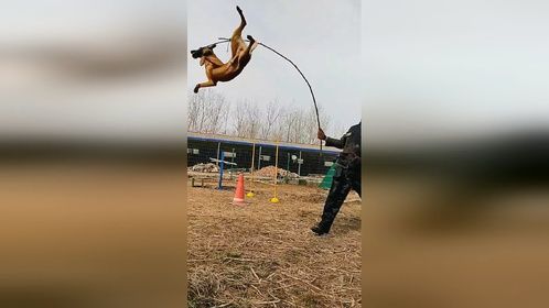 人活着就是为了解决困难