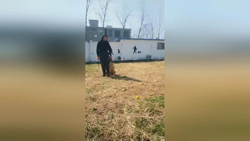 把意念深潜得下，何理不可得