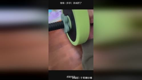 墩墩（多多）该减肥了