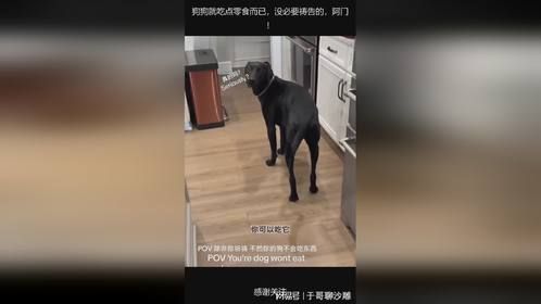 狗狗就吃点零食而已，没必要祷告的，阿门！