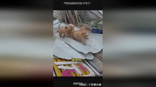 气势汹汹的拆迁队干活了！