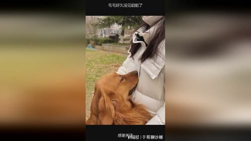 毛毛好久没见姐姐了