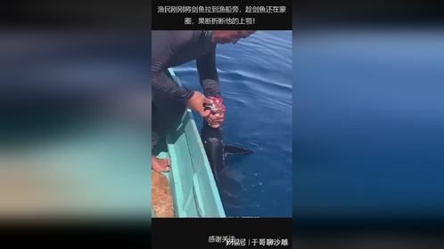 渔民刚刚将剑鱼拉到渔船旁，趁剑鱼还在蒙圈，果断折断他的上颚！