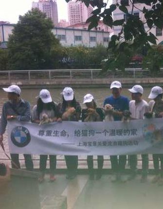 专业宠物狗救援与养护服务中心