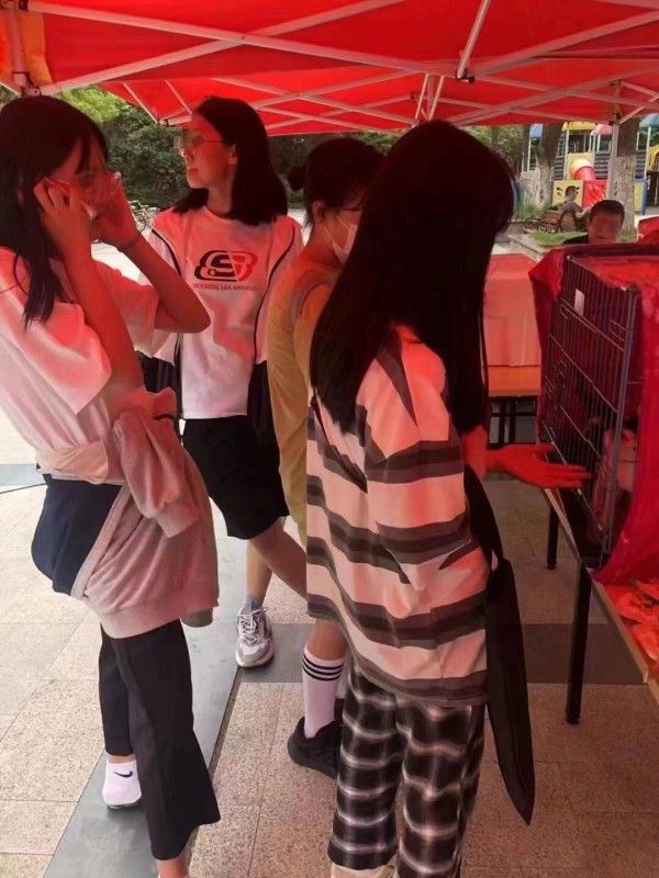 宠物救助领养电话苏州市宠物救助中心