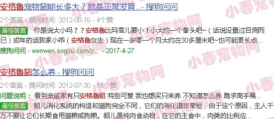 安格鲁貂繁殖期多久