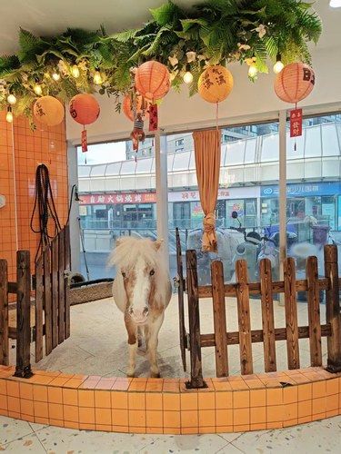 动物之家 超有爱心的萌宠乐园