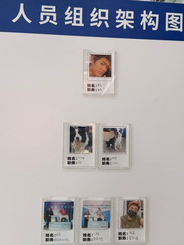 上海真是什么店都有……