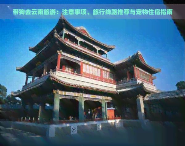 带狗去云南旅游：注意事项、旅行线路推荐与宠物住宿指南